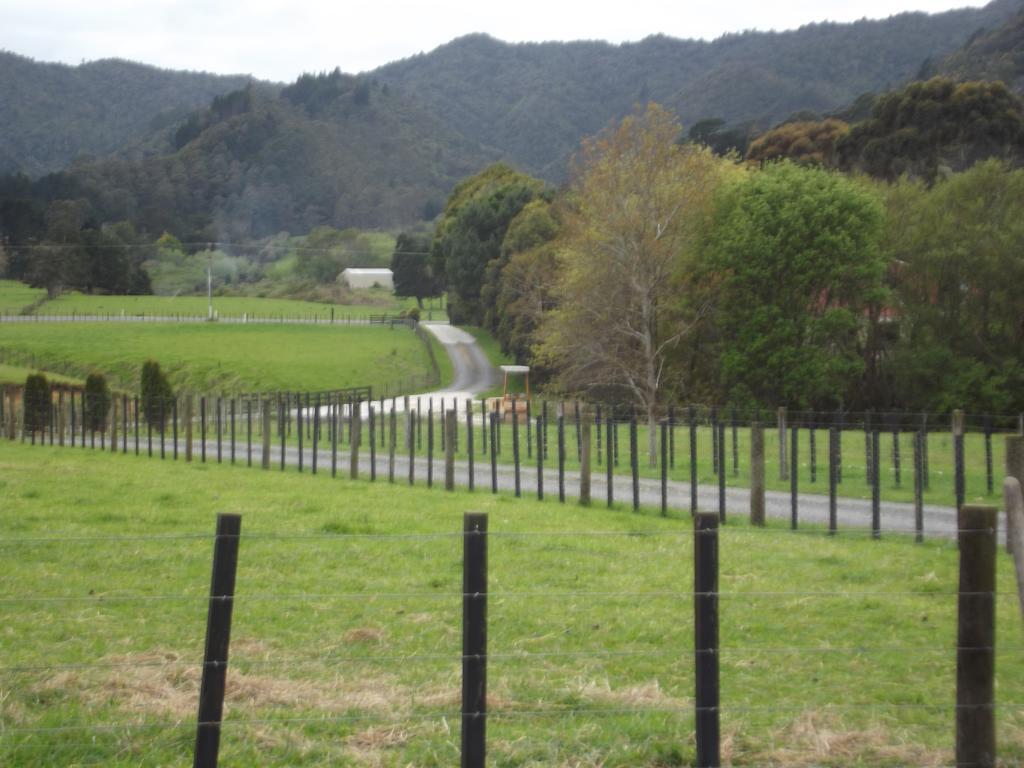 The Little Farm Coromandel Hotell Rom bilde