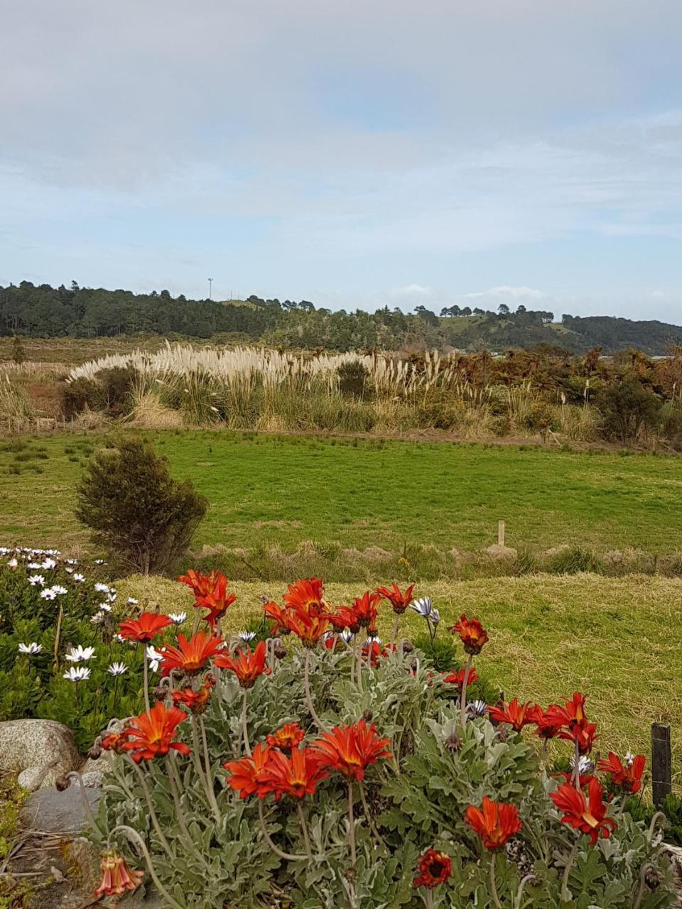 The Little Farm Coromandel Hotell Eksteriør bilde