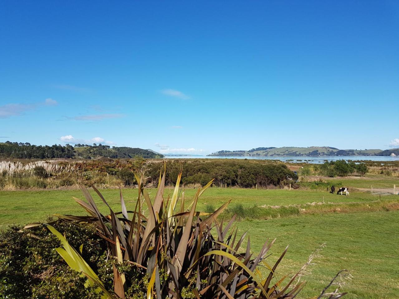 The Little Farm Coromandel Hotell Eksteriør bilde