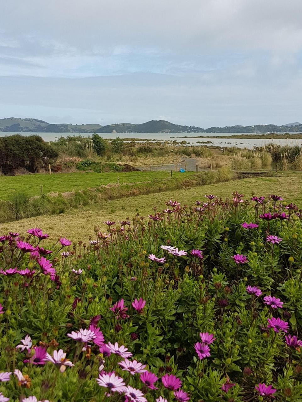 The Little Farm Coromandel Hotell Eksteriør bilde