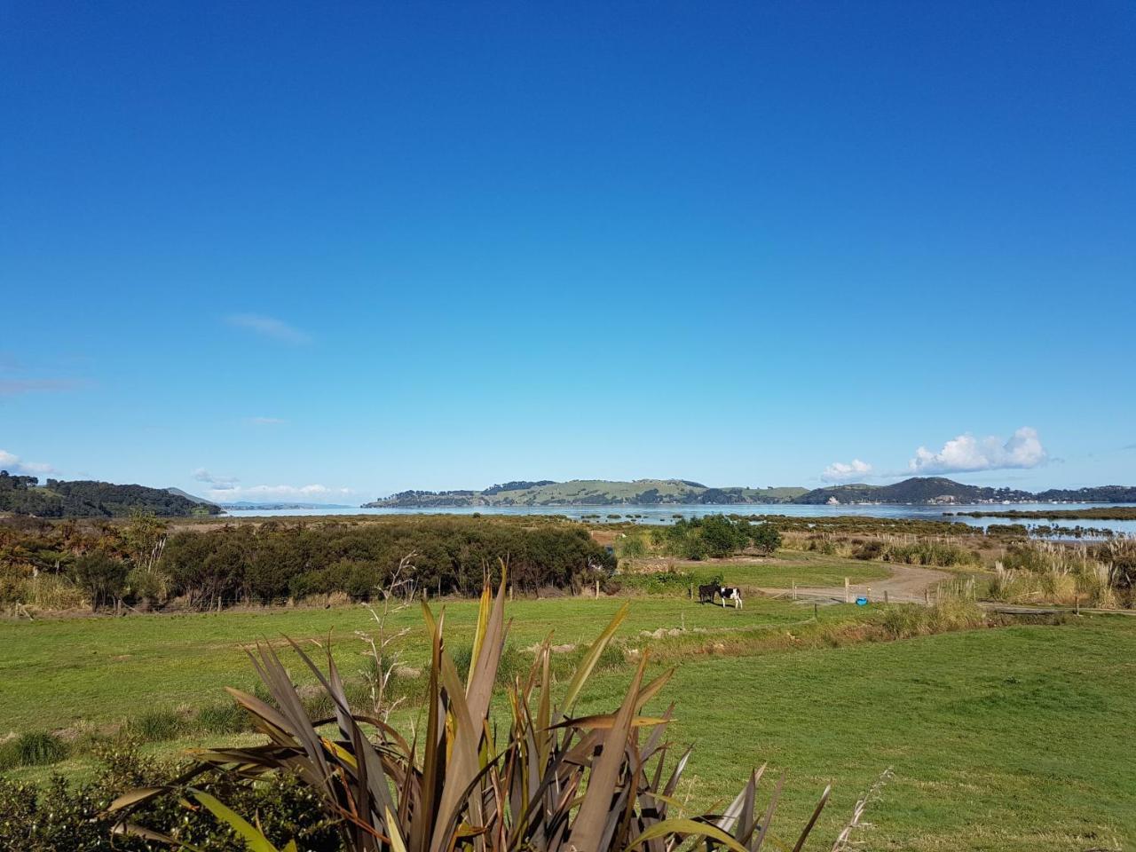 The Little Farm Coromandel Hotell Eksteriør bilde